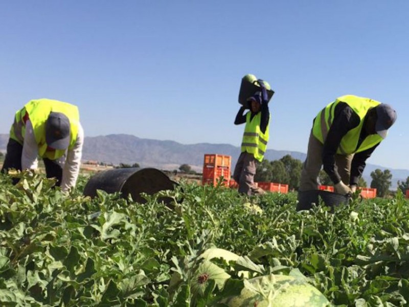 Trabajarán juntos para lograr más recursos para el campo