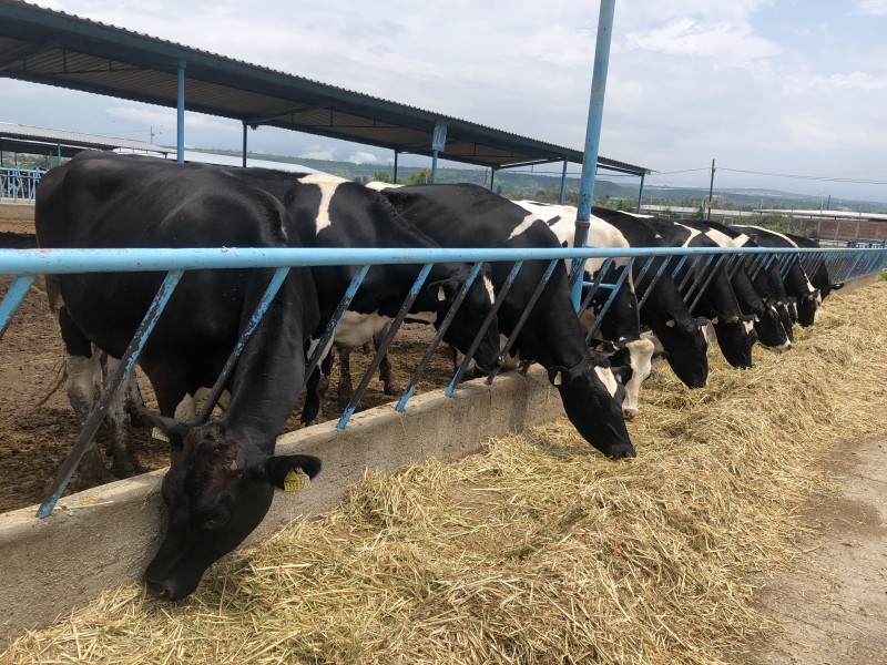 Trabajo de campo continúa siendo mal pagado