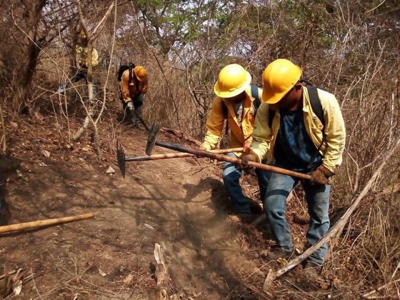 Trabajo en conjunto para evitar incendios por programa federal