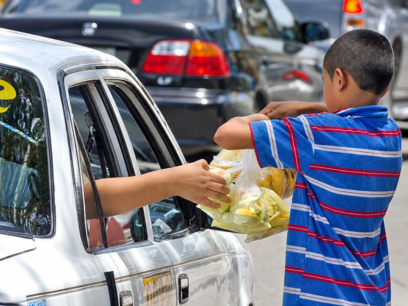 Trabajo infantil afecta al 17.3% de menores en Veracruz