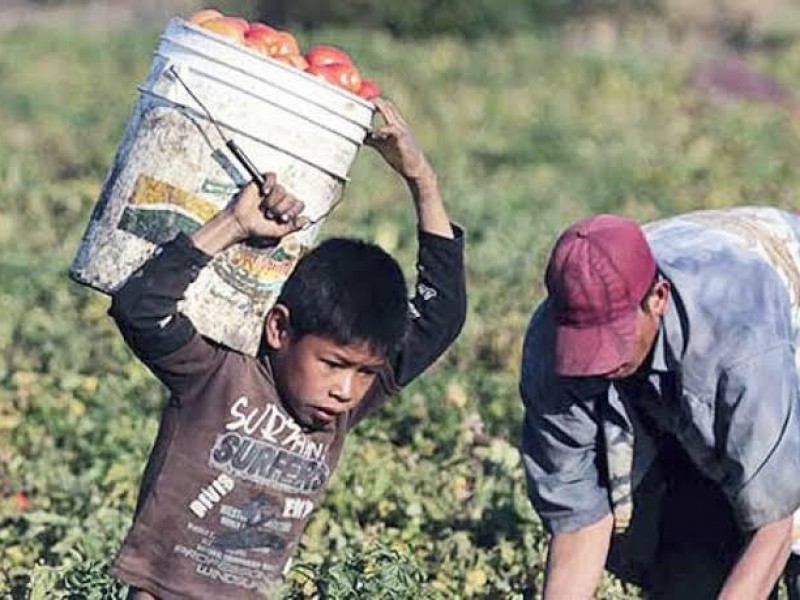 Trabajo infantil disminuye en durango
