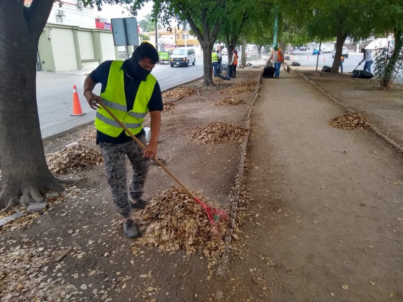 Trabajos de limpieza general llegan al bulevar El Dorado