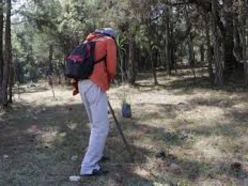 Trabajos de reforestación por generar incendio