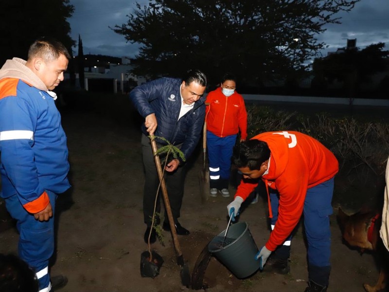 Trabajos de rehabilitación en zona de Viñedos