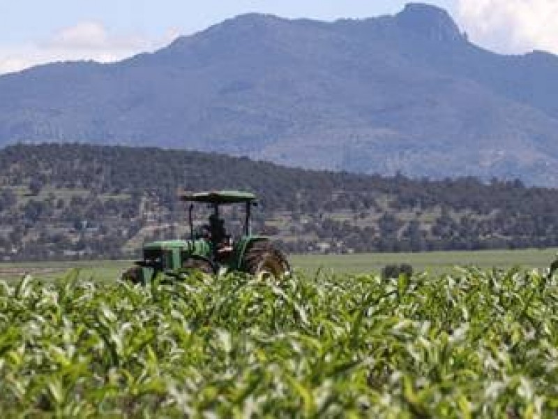 Trabajos en favor del campo de Querétaro