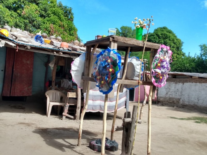 📹Tapanco, tradición yoreme de Día de Muertos