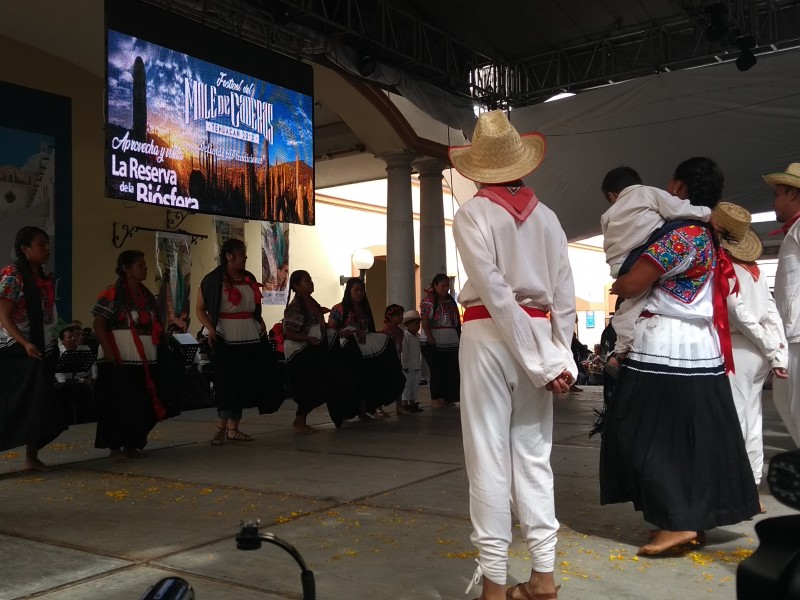 Tradiciones se olvidan por deisnteres de jovenes