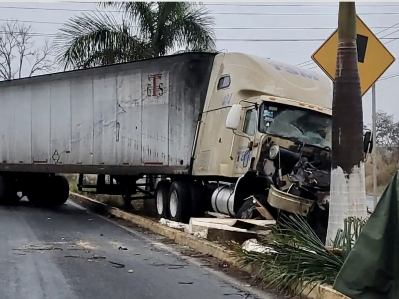 Tráiler se impacta contra palmera en la Xalapa-Veracruz