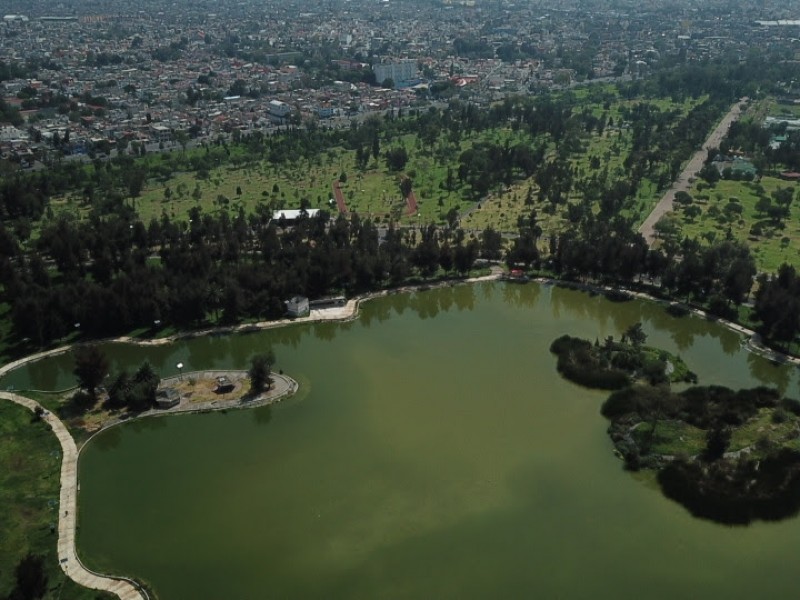 Transformación del Bosque de Aragón