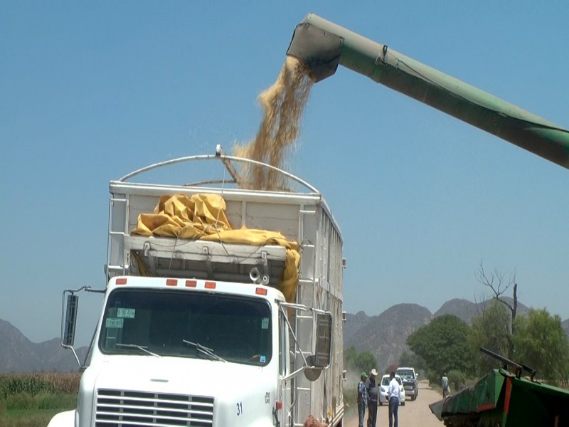 Transporte de carga listo para la movilización de maíz