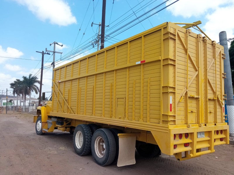 Transporte de carga trabaja a su máxima capacidad