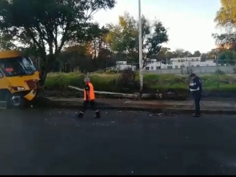 Transporte público choca contra árbol