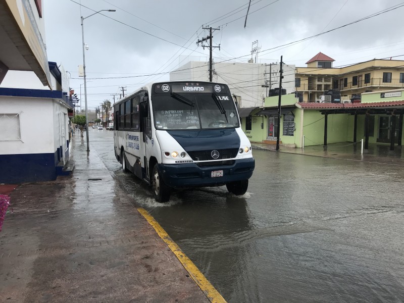 Transporte público continúa ofreciendo servicio