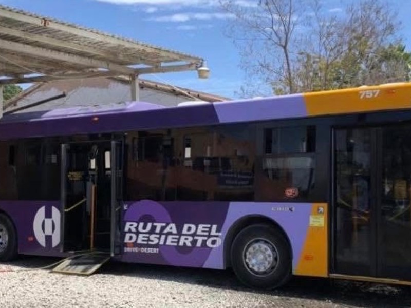 Transporte público en Los Cabos reanuda operaciones