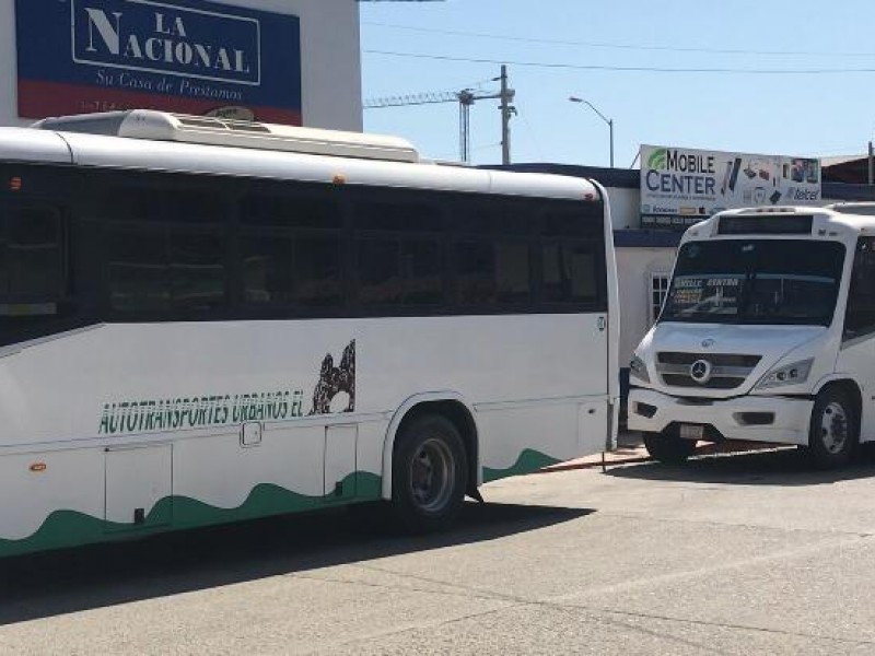 Transporte público registra perdidas por más del 70%