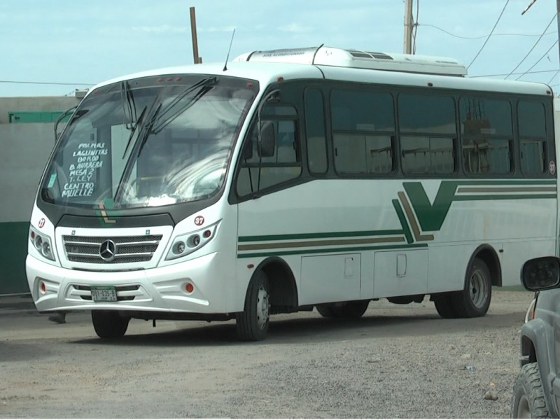 Transportistas buscan cubrir la demanda de transporte