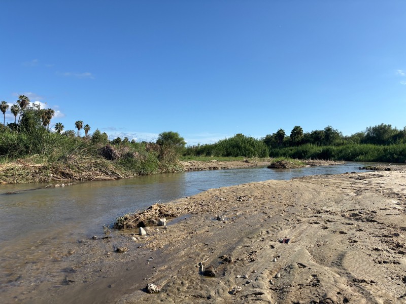 Tras años de espera, actualizan Plan de Manejo del Estero Josefino
