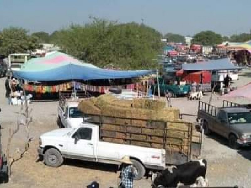 Tras decreto, suspenden plaza de animales en Yehualtepec