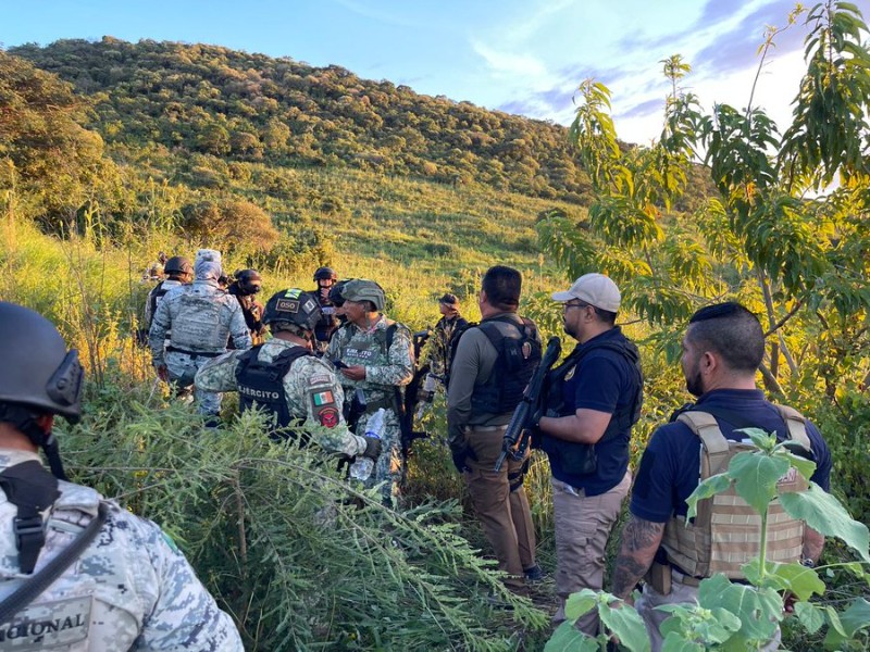 Tras enfrentamiento armado en Zamora, desmantelan campamento