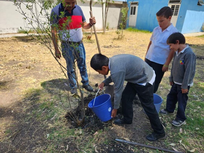 Tras incendios forestales, iniciarán reforestación en el cerro Grande