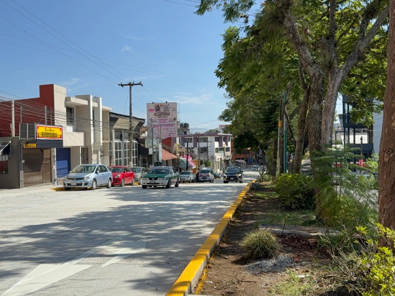 Tras obras, reabren a la circulación Paseo de las Araucarias
