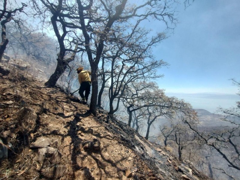 Tras seis días, controlan incendio en cerro de Ixtlahuacán