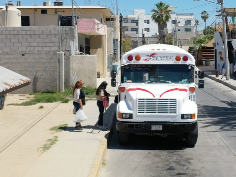 Transporte público operara con normalidad en días Santos