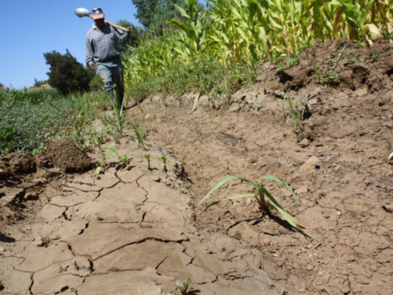 Tratados van y vienen pero el campo mexicano continúa “jodido”:CNC