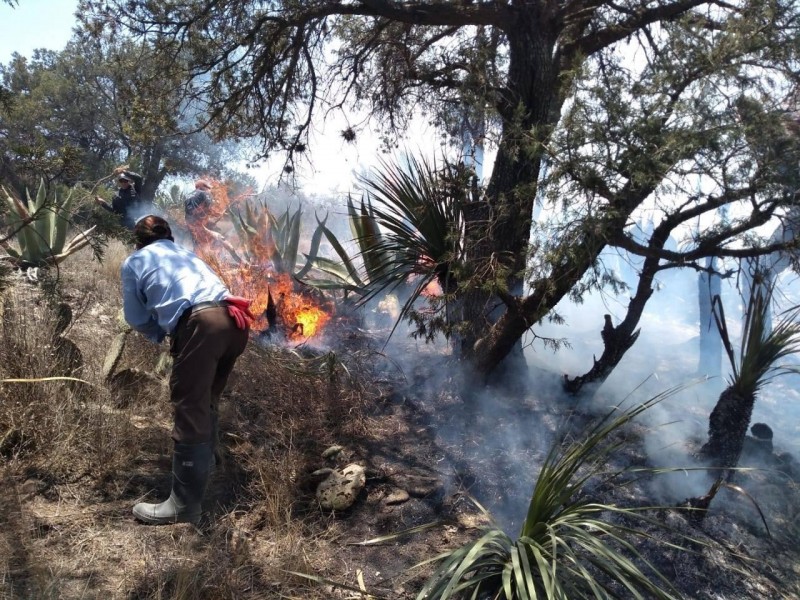 Tratan de sofocar incendio forestal en Tepeyahualco