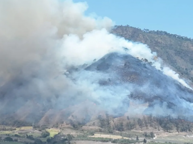 Trazan estrategias para restaurar zonas afectadas por incendios