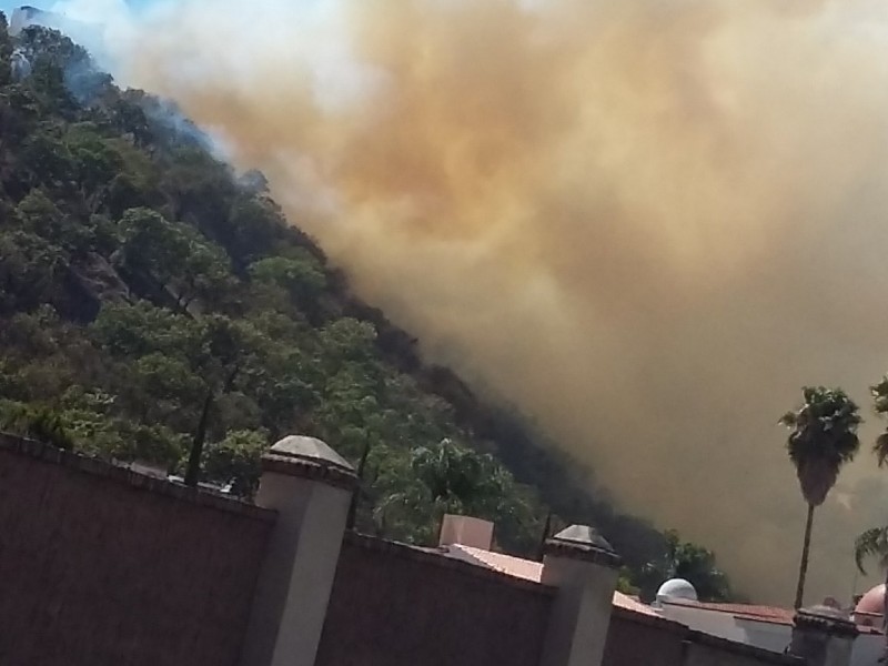 Tres incendios en La Primavera en un día