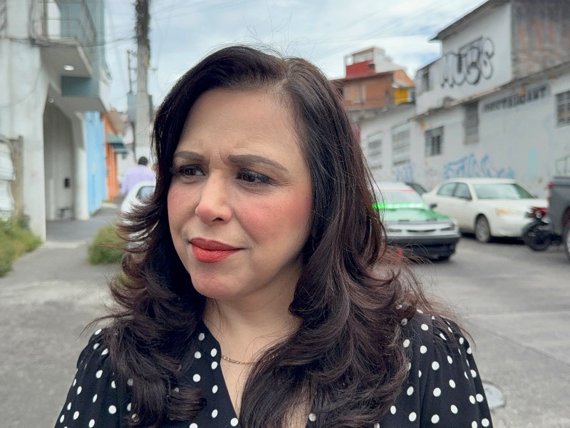 Tribunal Electoral prepara anteproyecto con incremento de recursos