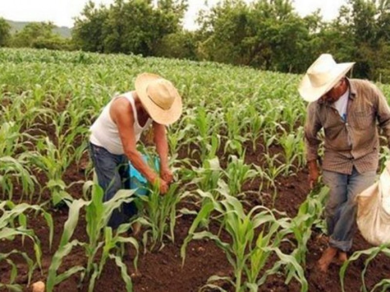 TRIPLICAN EL RECURSO PARA APOYAR AL CAMPO