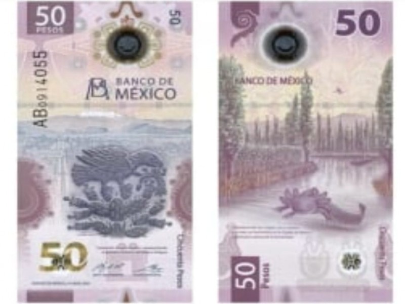 ¡Triunfó el ajolote! billete de México gana premio