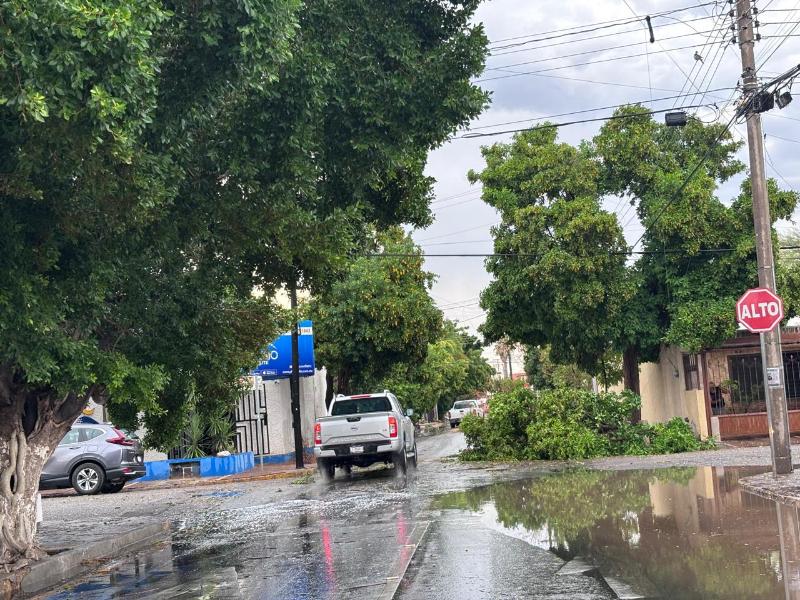 Tromba en La Laguna provoca encharcamientos, apagones y árboles caídos