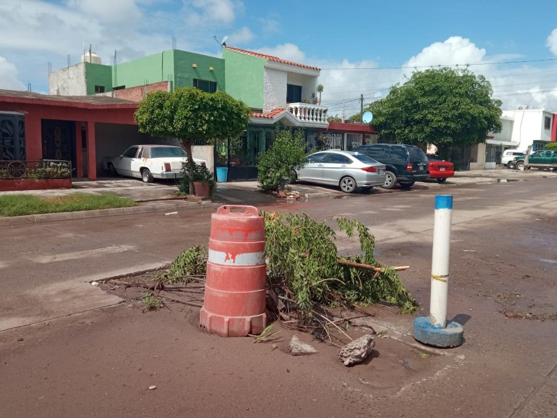 Truenan contra Japama en Tabachines # 1, piden atender zanjas