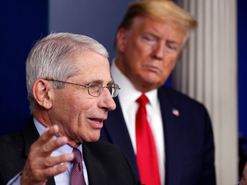 Trump podría despedir a Fauci, su máximo experto en covid-19