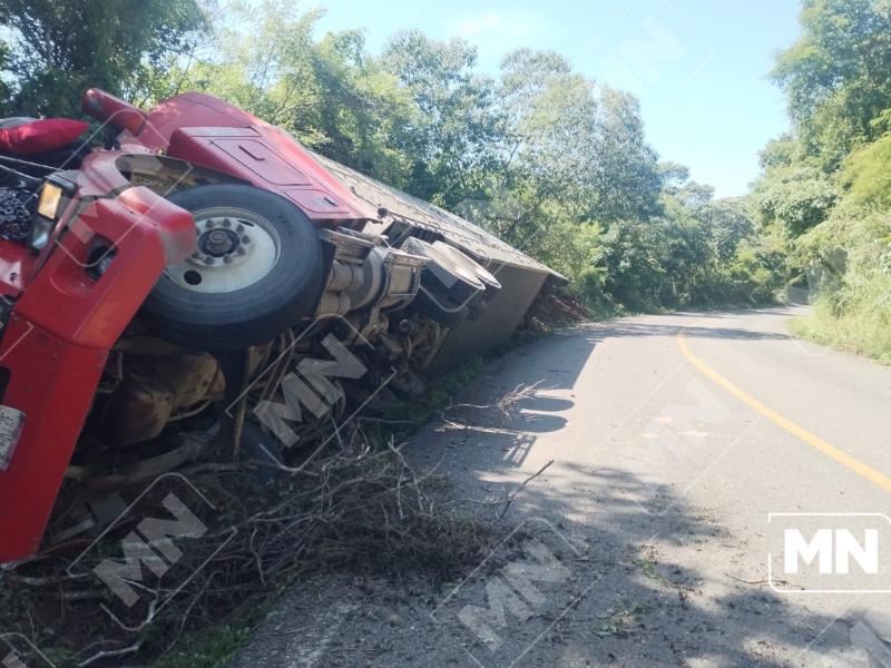 Tráiler con ganado sale de carretera en Zihuatanejo; reportan animales muertos