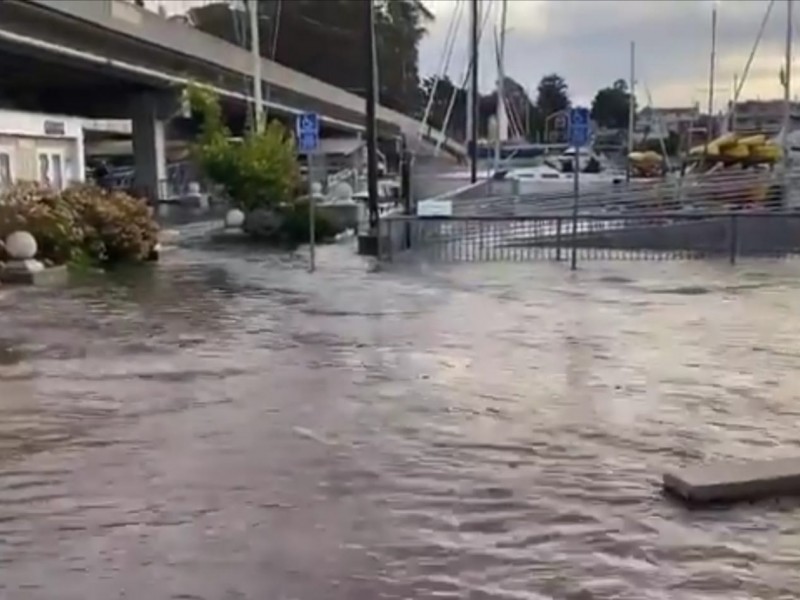 Tsunami provocado por erupción volcánica alcanza Japón y EEUU