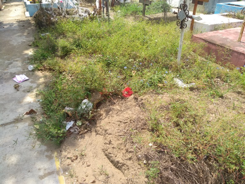 Tumbas abandonadas en panteón municipal de Veracruz