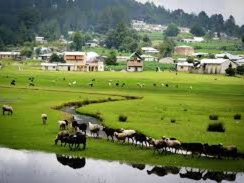 Turismo rural clave para detonar la economía
