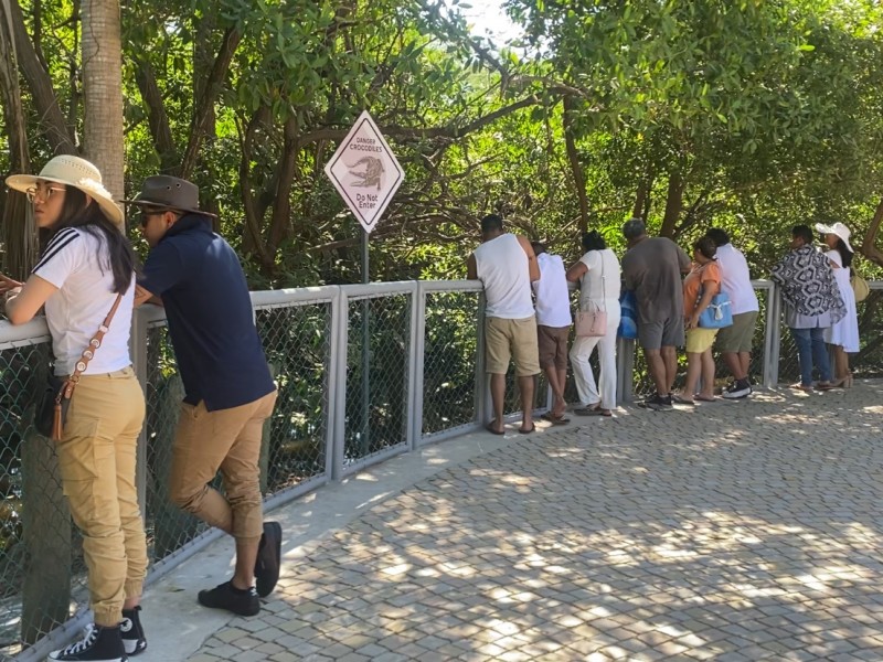 Turistas encantados con la biodiversidad de Ixtapa-Zihuatanejo
