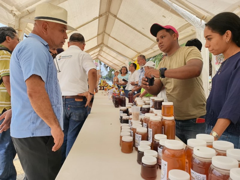 Tuxpan, sede el Mercado Apícola este fin de semana