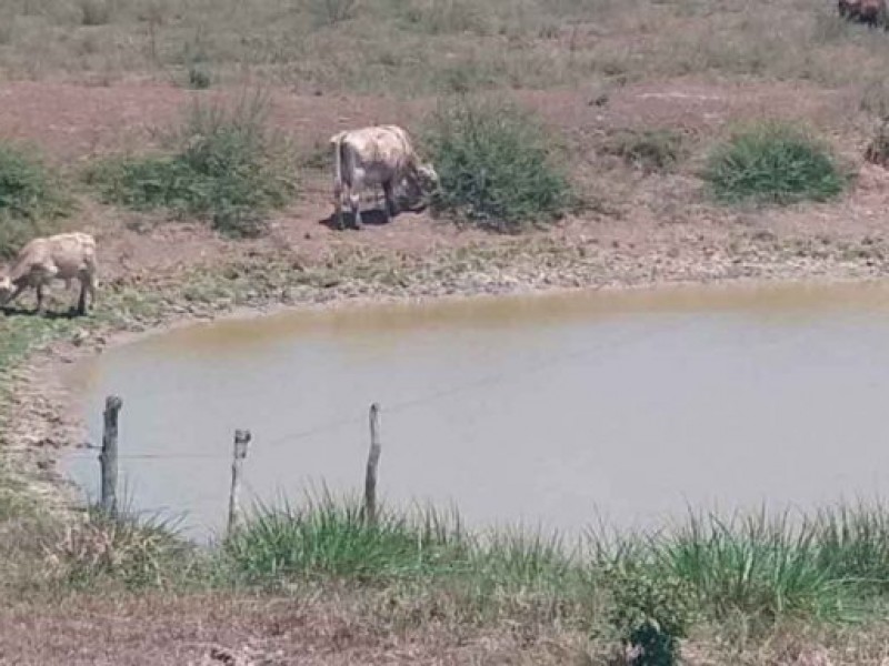 Tuxpan, Tecuala y Acaponeta los mayor afectados por lluvias