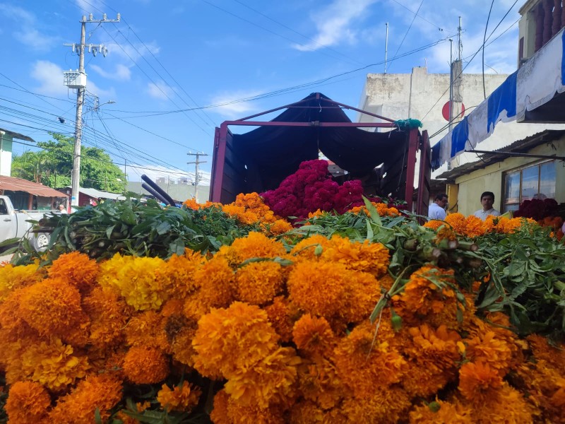 Tuxpeños se preparan para Día de Muertos