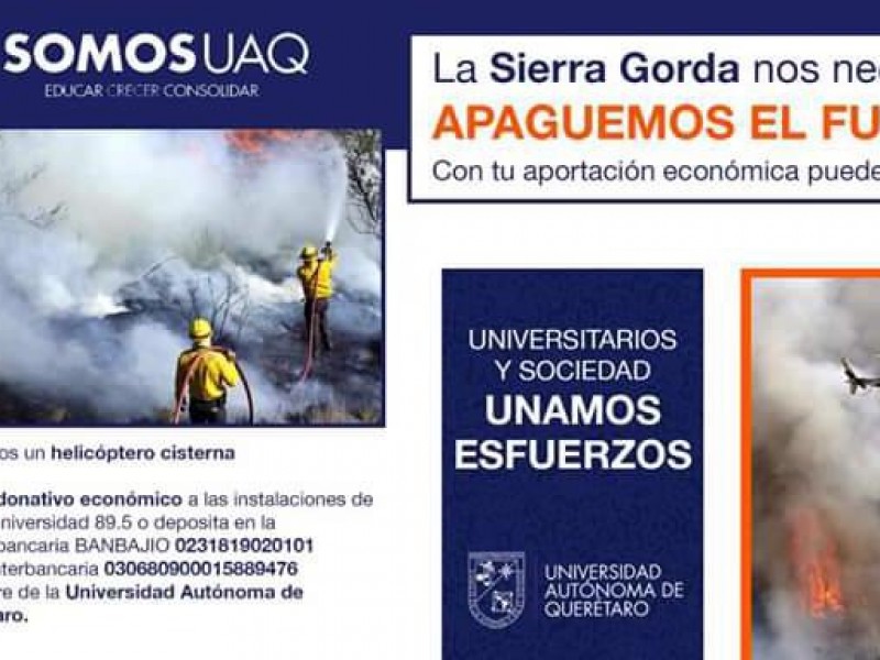 UAQ hace colecta para salvar la sierra gorda