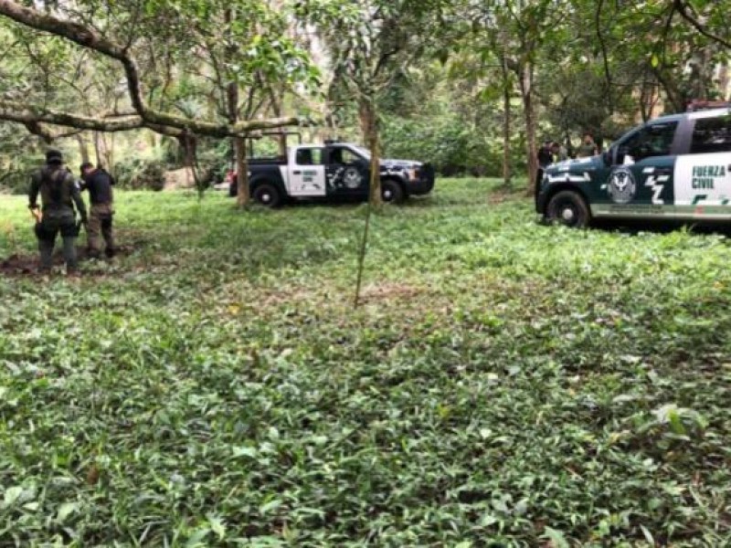 Ubican nueva fosa clandestina en Veracruz.