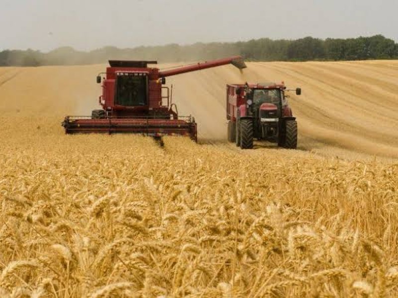 Ucrania acusa a Rusia de robar sus granos y venderlos