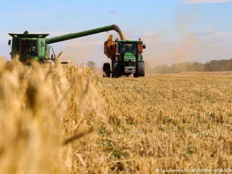 Ucrania acusa a Rusia de robarle toneladas de grano
