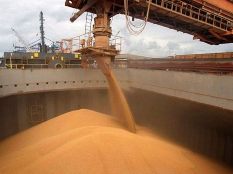 Ucrania reanuda exportaciones de grano